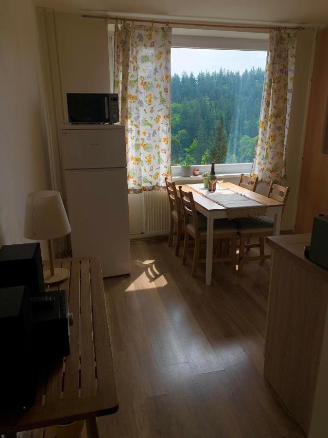 Apartmanek Protez Johannisbad Exterior foto